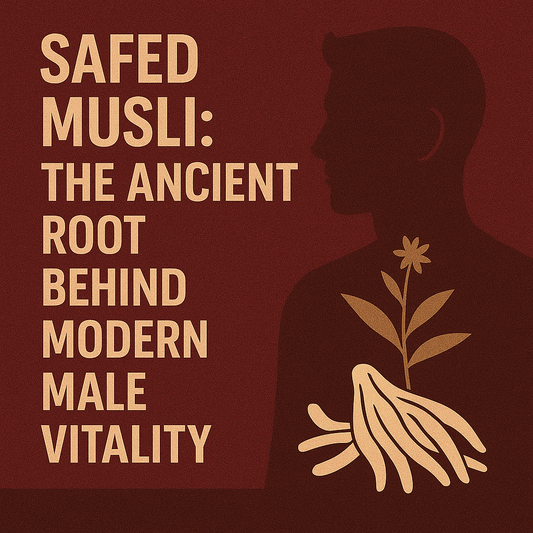 Safed Musli: The Ancient Root Behind Modern Male Vitality